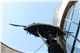 _figueres-_0024
