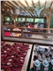 img20190602wa0014