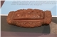 muzeum-brest-2