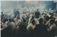 000061978embremen