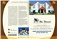 buletin-10