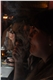 i-faza-januar-2013-112