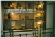 Hajenius_2003_01